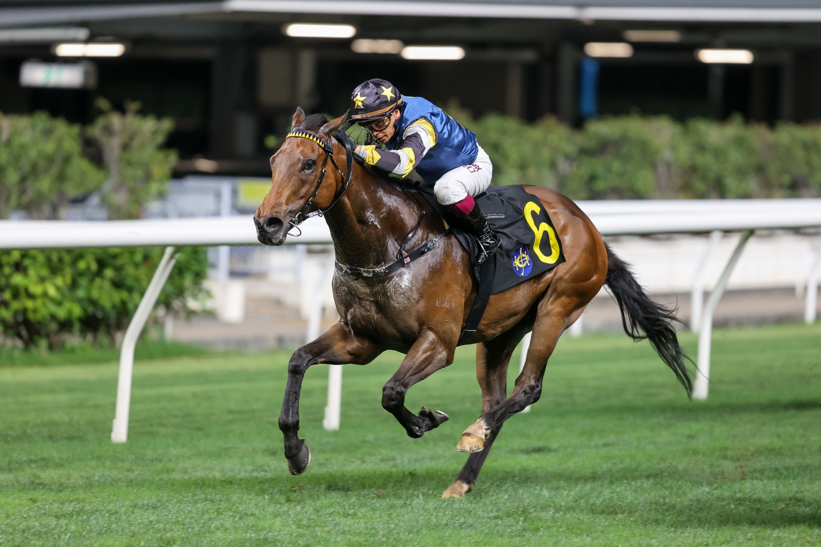 Alexis Badel celebrates a winning ride at Happy Valley as he gears up for the FWD Champions Mile at Sha Tin, alongside standout performances from top Hong Kong jockeys.