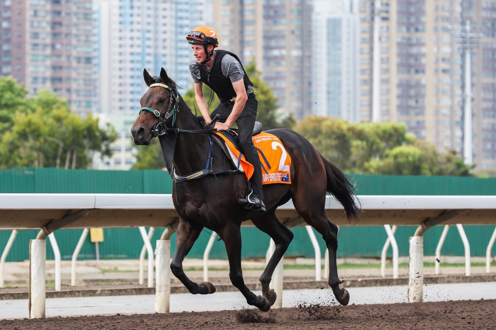 Mr Brightside, the Australian thoroughbred, cantering during a morning workout at Sha Tin Racecourse ahead of the G1 FWD Champions Mile.
