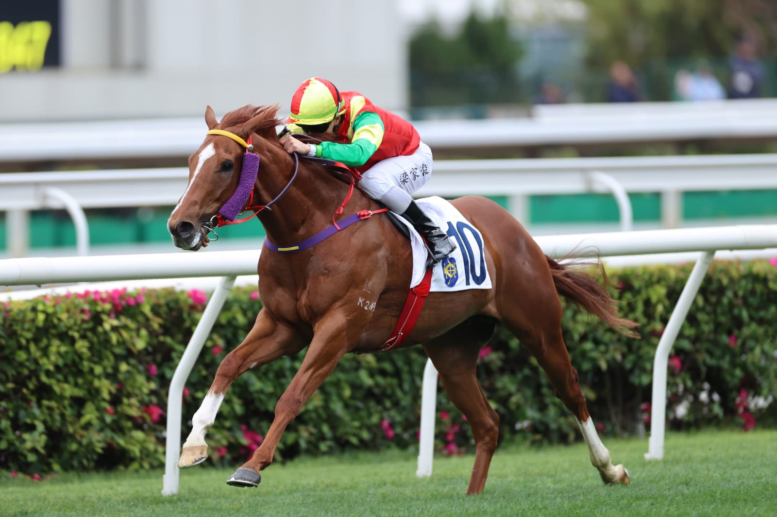 Jockey Derek Leung riding Jumbo Treasure at full speed during a race at Happy Valley Racecourse under evening lights.