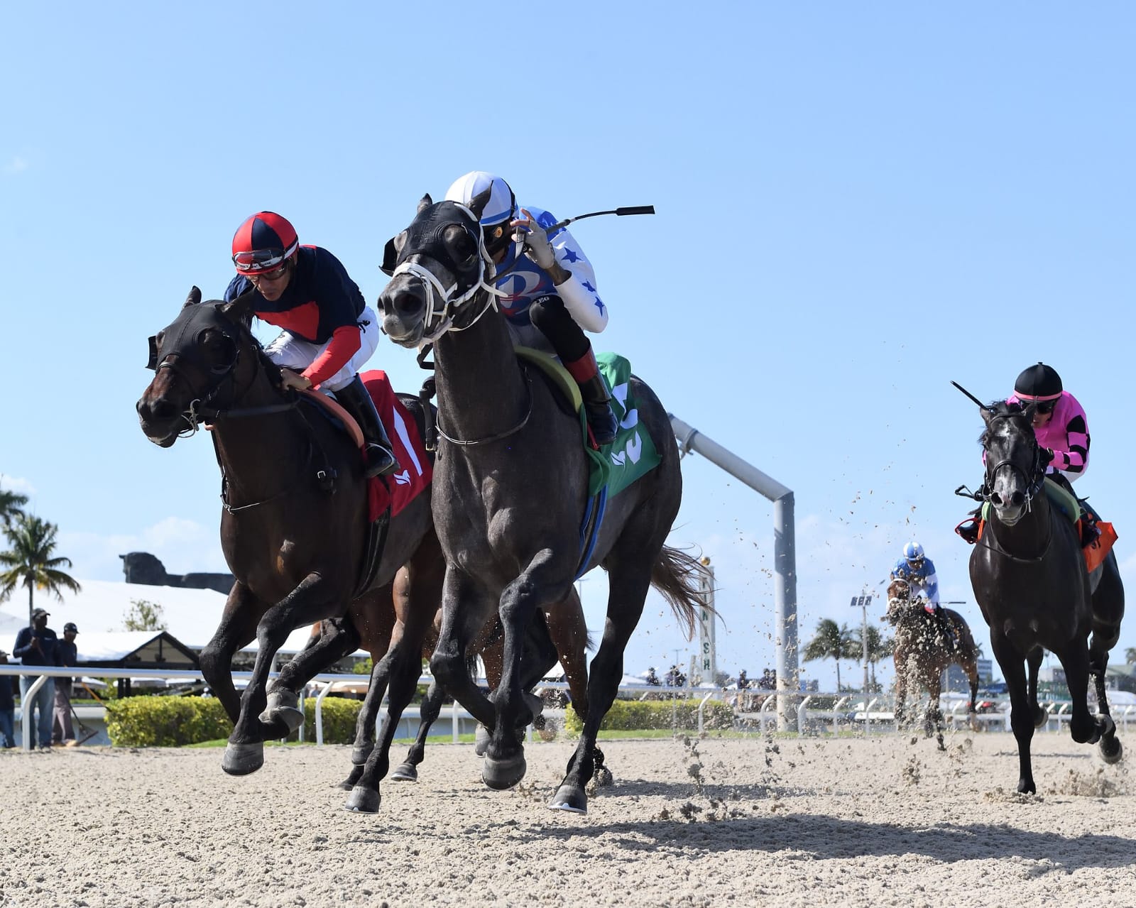 Thoroughbred horses racing on the turf track at Gulfstream Park, Florida with the grandstand in the background – April 2025 fixture.