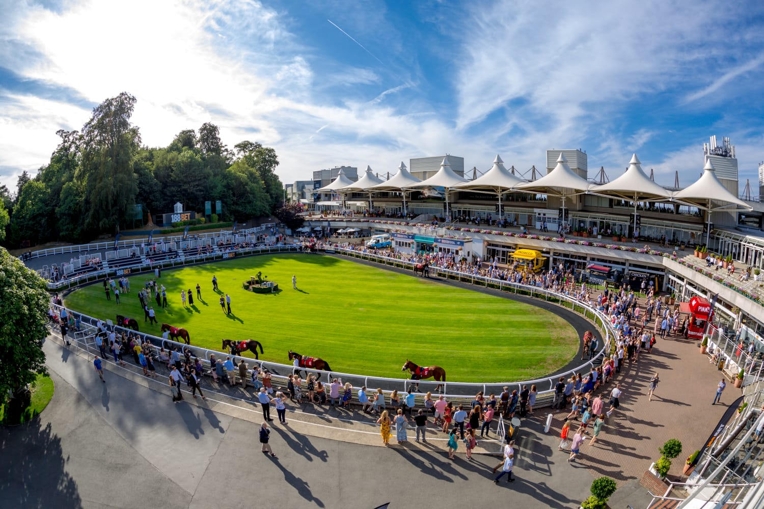A thrilling horse race in action at Sandown Park Racecourse during the Jump Season Finale, 2025.