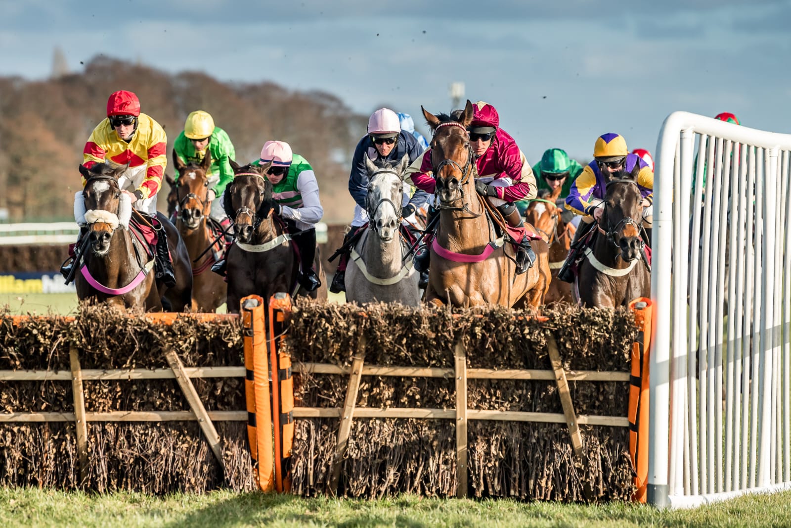 Racegoers enjoying a sunny day at Haydock Park Racecourse with horses and jockeys preparing at the starting line.