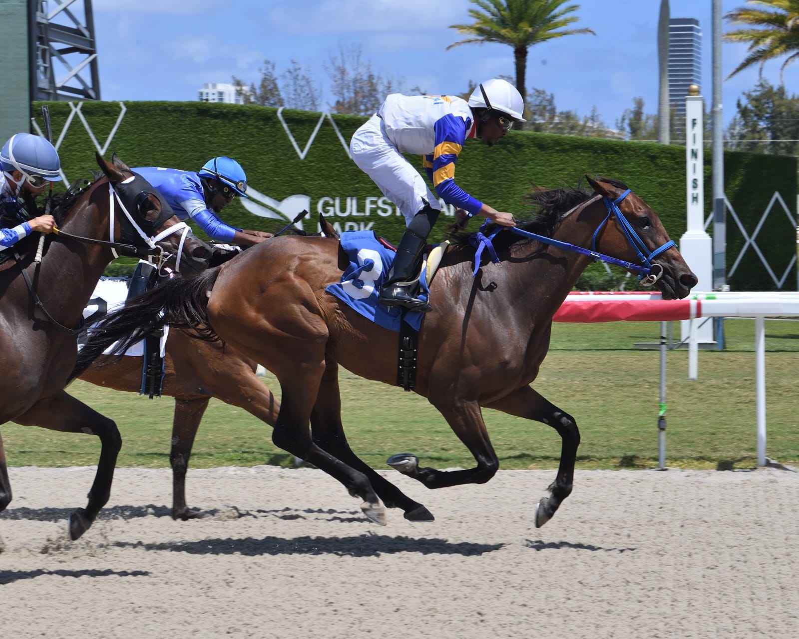horoughbreds racing down the stretch at Gulfstream Park during the April 27, 2025 race day.