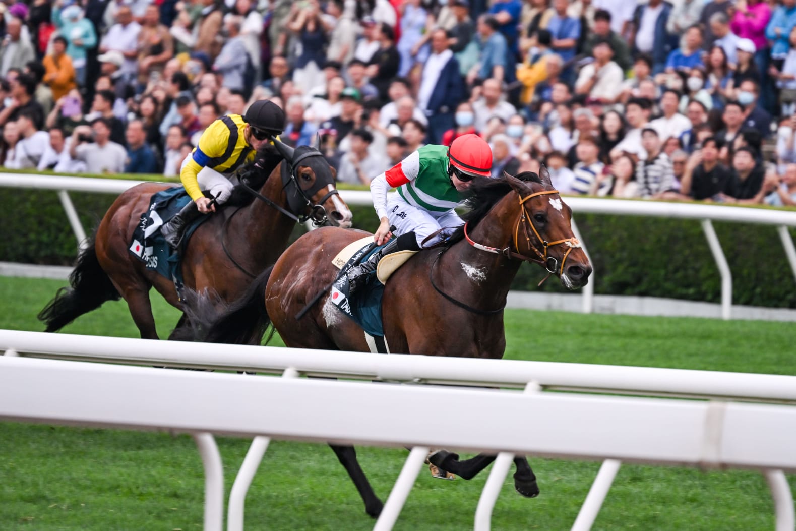 Tastiera, ridden by Damian Lane, surges ahead to win the 2025 FWD QEII Cup at Sha Tin Racecourse.