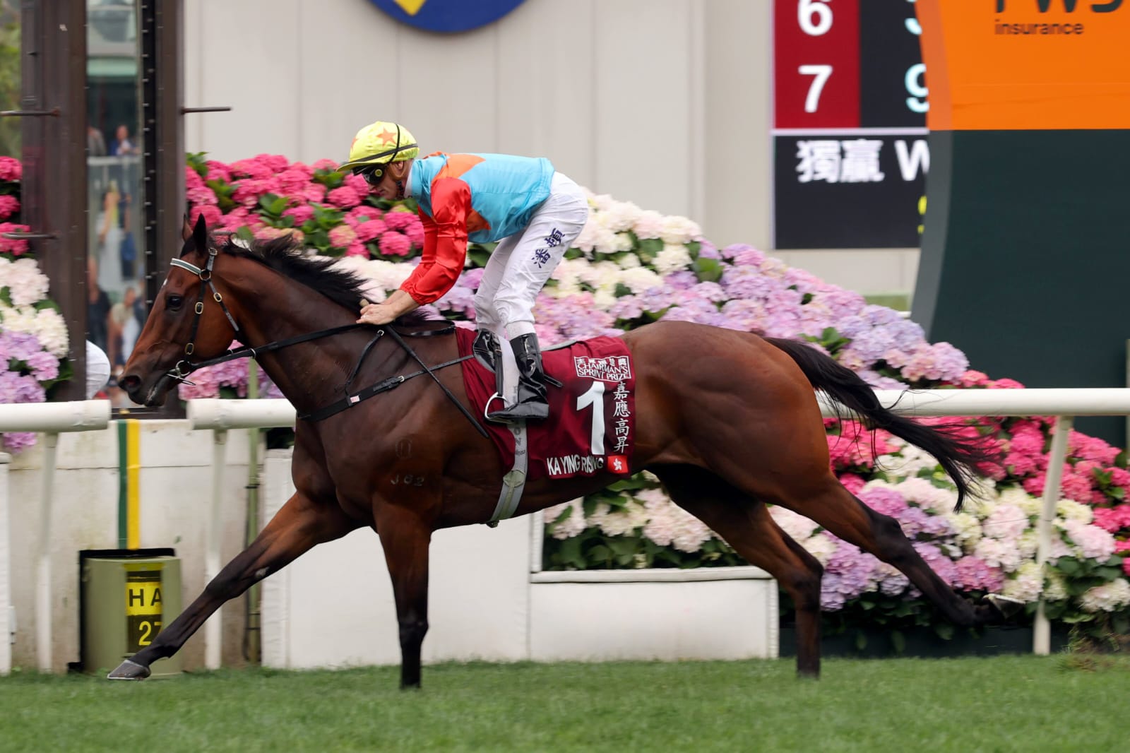 Ka Ying Rising surges to victory at Sha Tin Racecourse, securing the 2025 Chairman’s Sprint Prize under jockey Zac Purton.