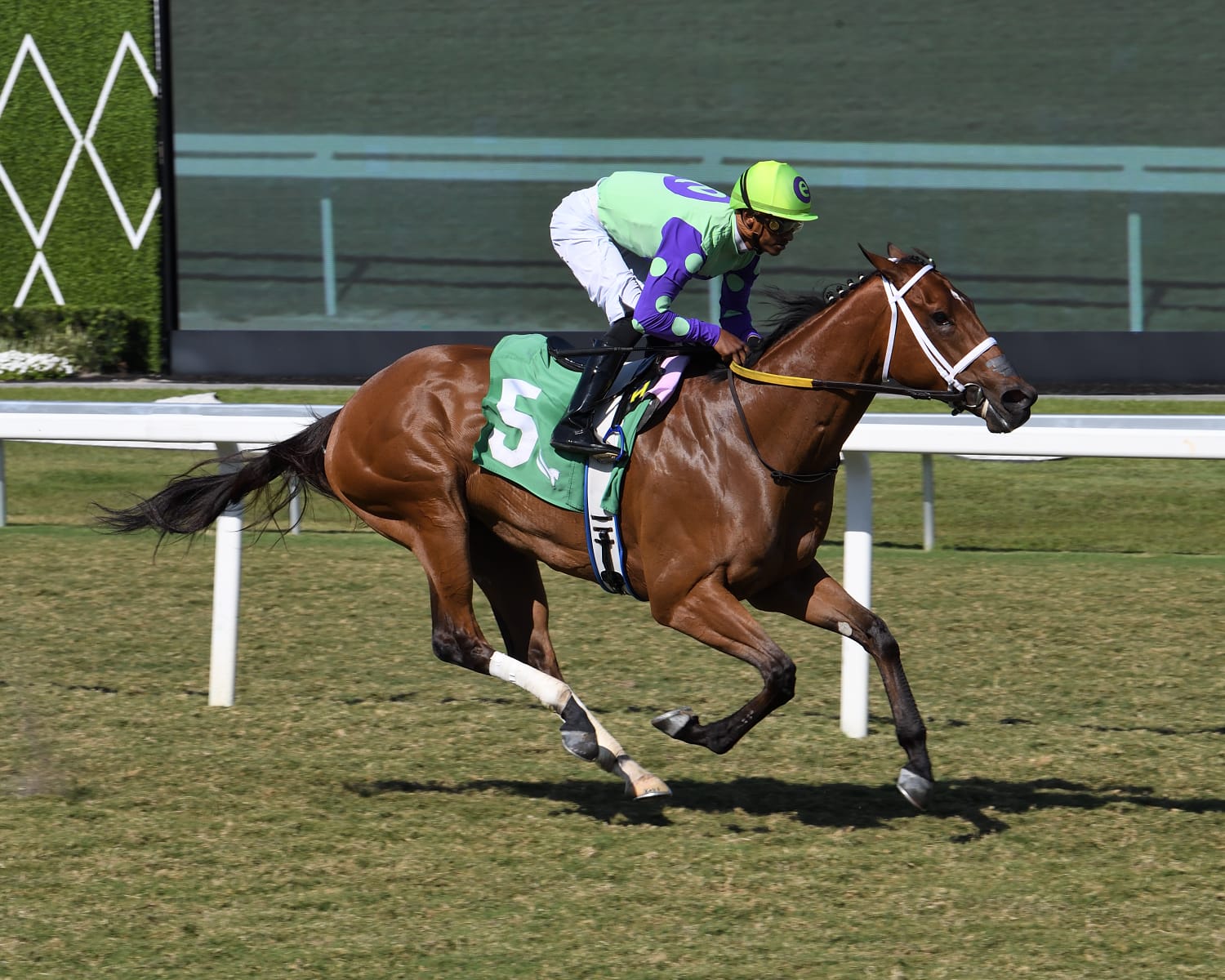Jockey Edgard Zayas aboard a thoroughbred during morning workouts at Churchill Downs, preparing for Kentucky Oaks 2025.