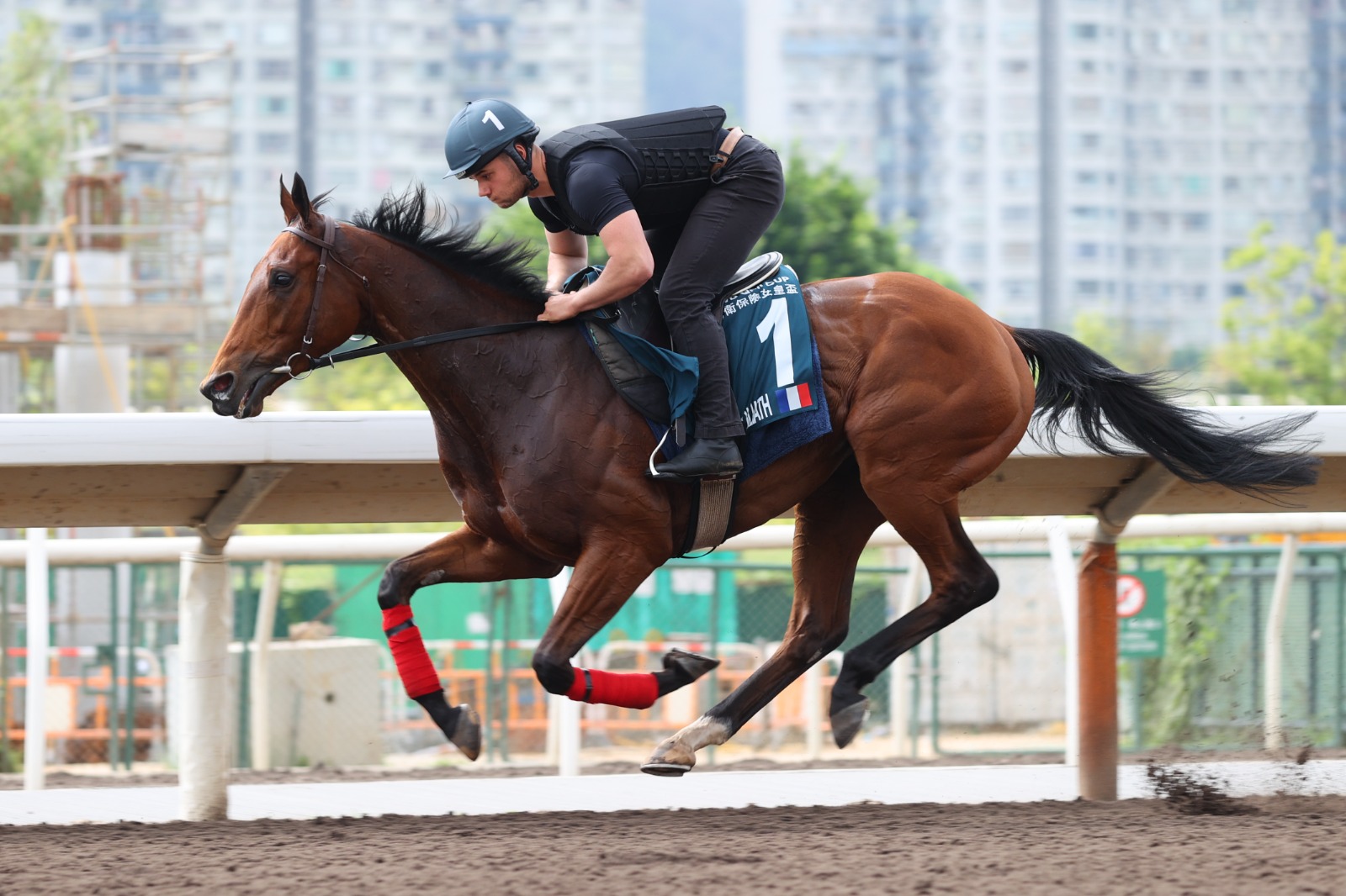 Christophe Soumillon riding Goliath during a race, aiming for victory in the FWD QEII Cup at Sha Tin, Hong Kong, with the stunning racecourse backdrop.