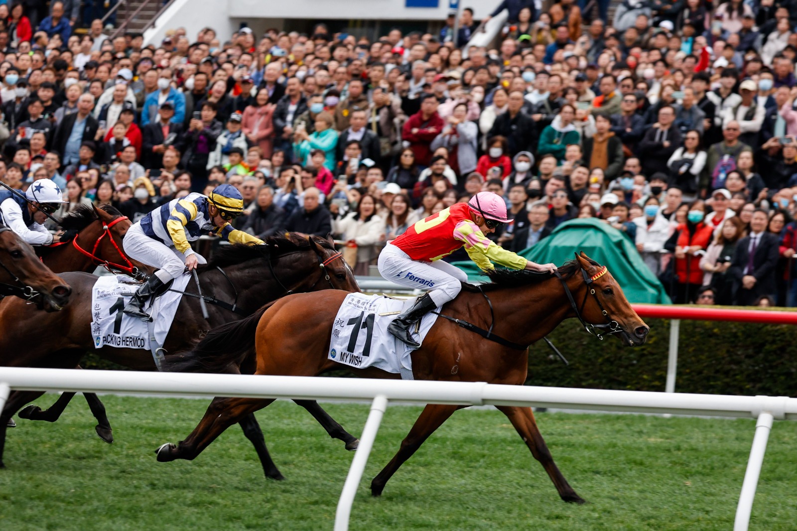 My Wish, trained by Mark Newnham, will compete in the 2025 FWD Champions Mile at Sha Tin, breaking from barrier one with jockey Luke Ferraris. He faces top contenders like Voyage Bubble and Mr Brightside in a highly anticipated Group 1 race.