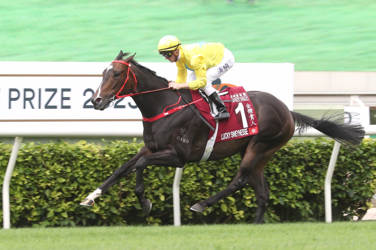 Lucky Sweynesse returning to racing at Sha Tin for the 2025 Chairman’s Sprint Prize after a year-long break, aiming for his fifth Group 1 victory with jockey James McDonald.