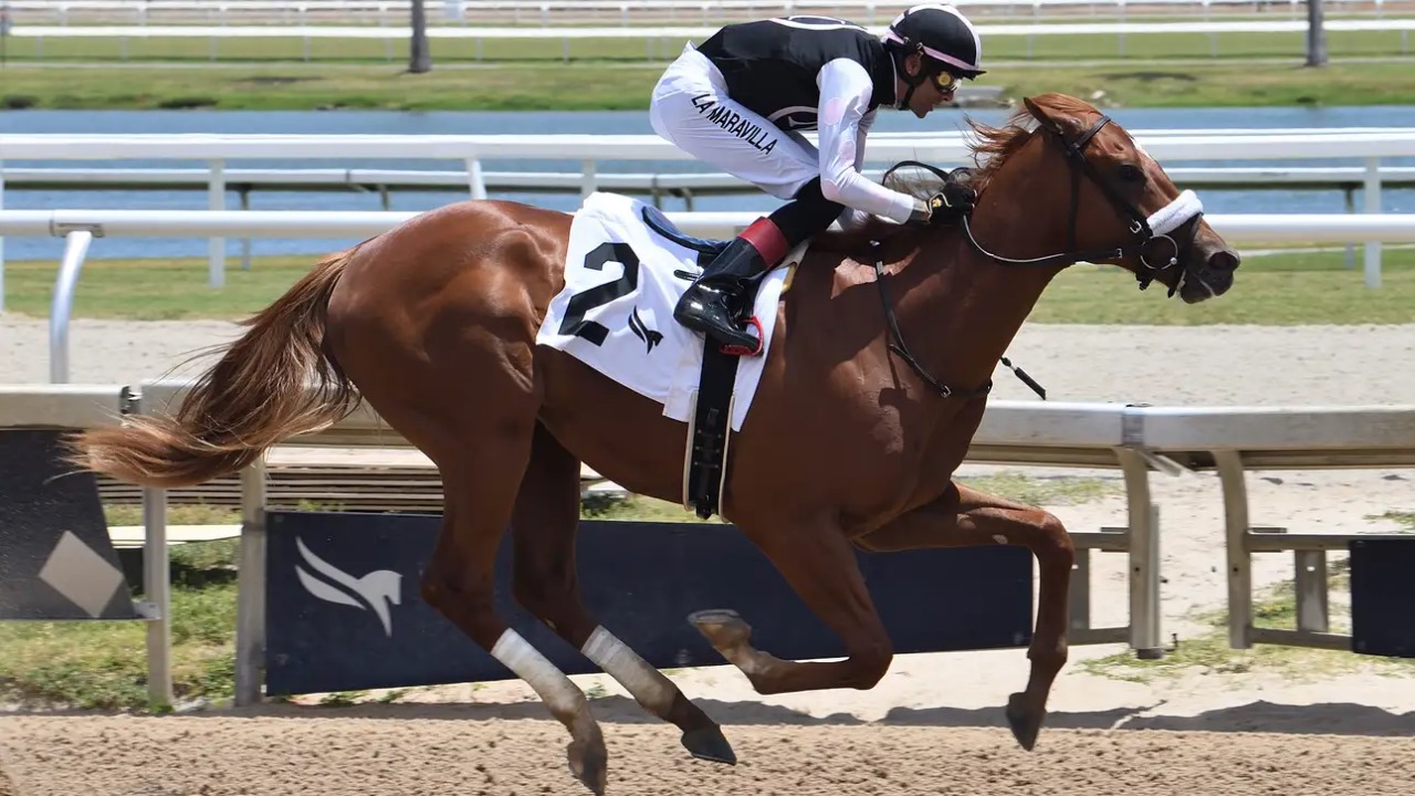 Two-year-old colt Copernium surges to victory under jockey Edwin Gonzalez at Gulfstream Park, winning his debut in a 4½-furlong maiden special weight and becoming the first winner for sire Charlatan.