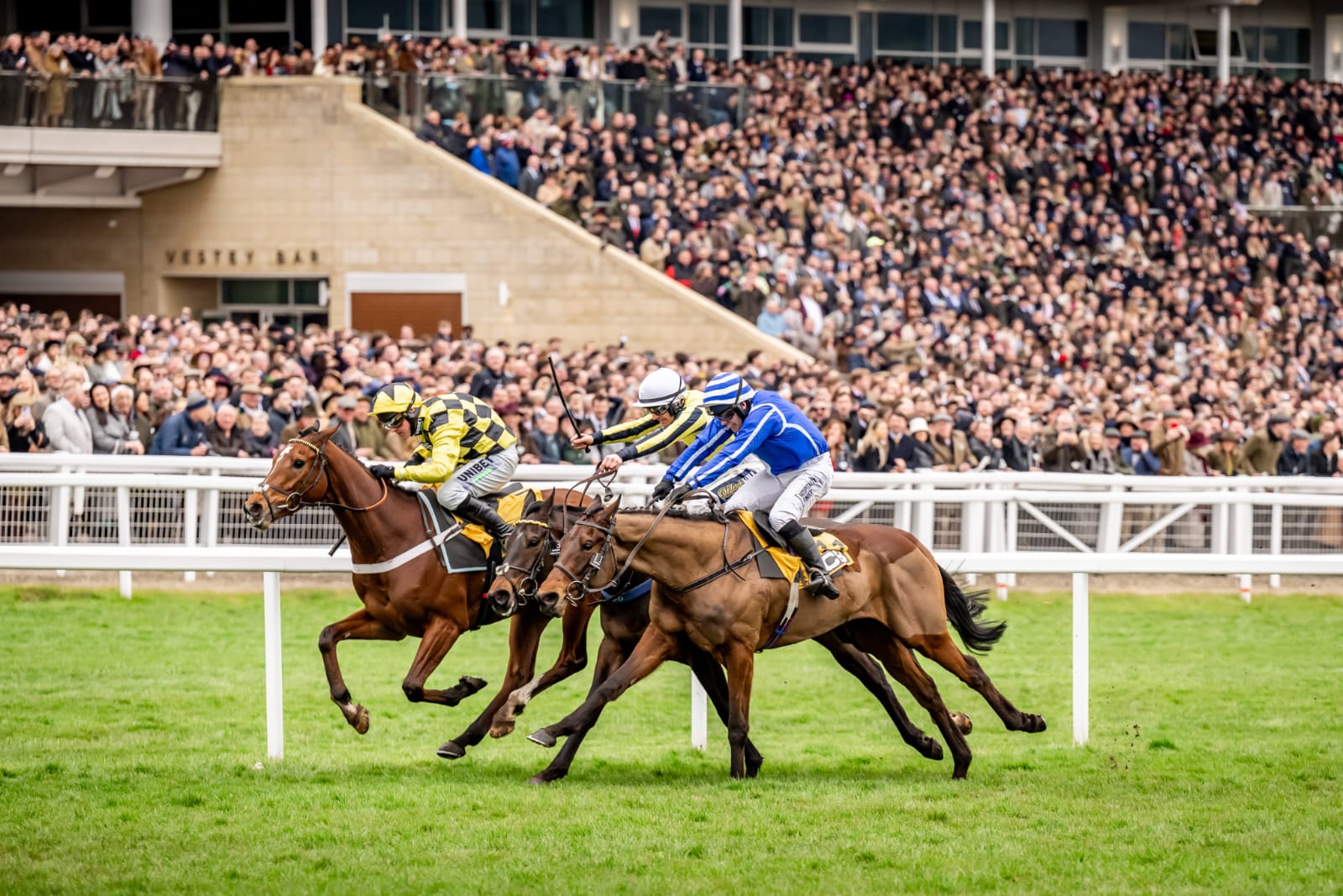 A scenic view of Cheltenham Racecourse at dusk, with crowds gathering, horses on the track, and stage lights ready for evening performances.