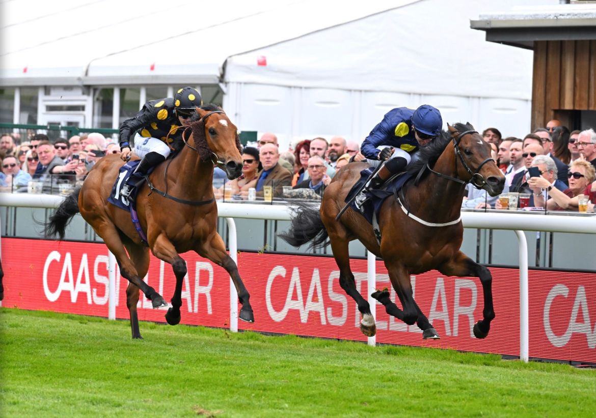 Horses racing down the final stretch at Chester Racecourse during the Boodles May Festival 2025 under clear skies.