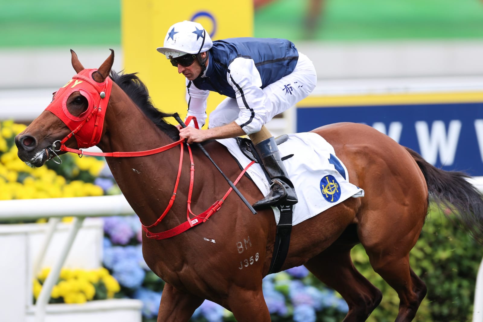 Horses break from the gate at Sha Tin Racecourse during a sunny race day in Hong Kong