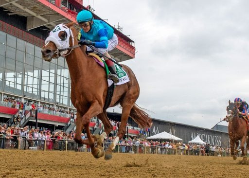 A group of racehorses breaking from the starting gate at Pimlico Race Course during a previous Black-Eyed Susan Stakes.