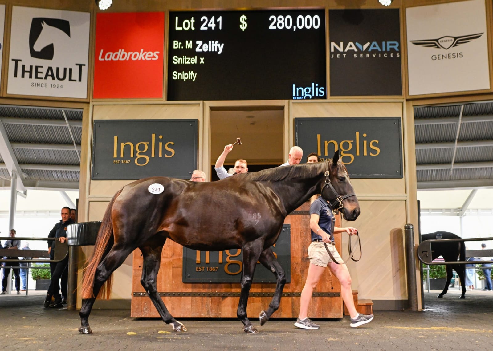 Zelify, a broodmare in foal to Ole Kirk, sold by Lime Country Thoroughbreds at the 2025 Australian Broodmare Sale