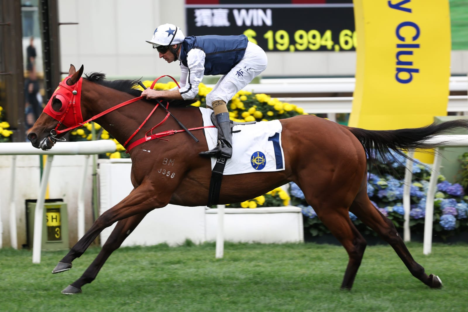 Jockey P N Wong rides JOLLY JUMPER to victory in the Castle Peak Handicap at Sha Tin Racecourse on May 10th, 2025.