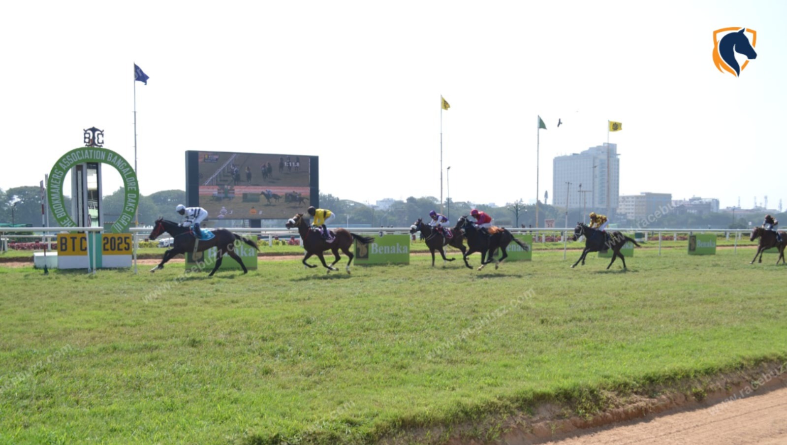 Opening day of Bangalore Summer Meeting 2025 at Bangalore Turf Club with horses racing down the track