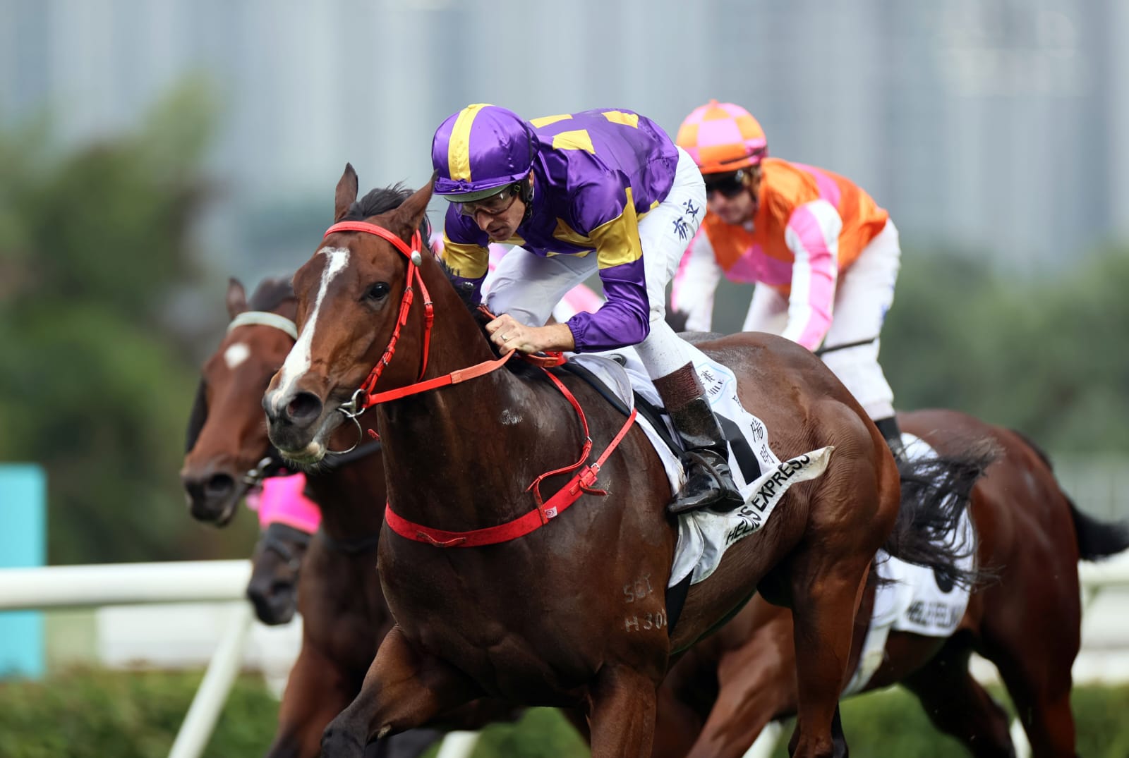 John Size overseeing morning trackwork at Sha Tin with Helios Express and Red Lion in action ahead of Group 3 assignments