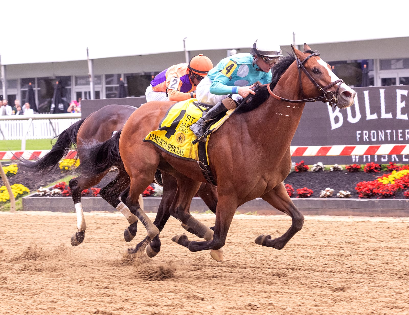 Pyrenees galloping powerfully down the stretch at Pimlico Race Course during his 2024 victory in the Pimlico Special
