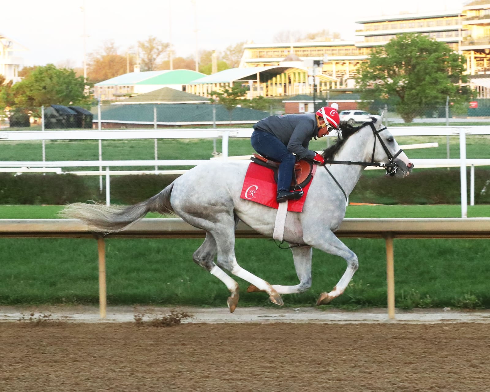 Sandman galloping at Pimlico Race Course during a morning workout ahead of the 2025 Preakness Stakes