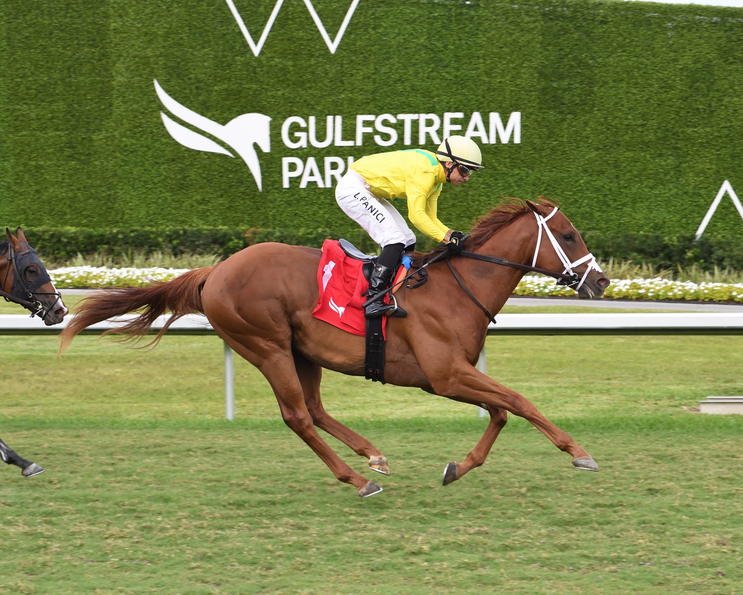 Sandal’s Song surges past rivals under jockey Luca Panici to win the Royal Palm Juvenile at Gulfstream Park