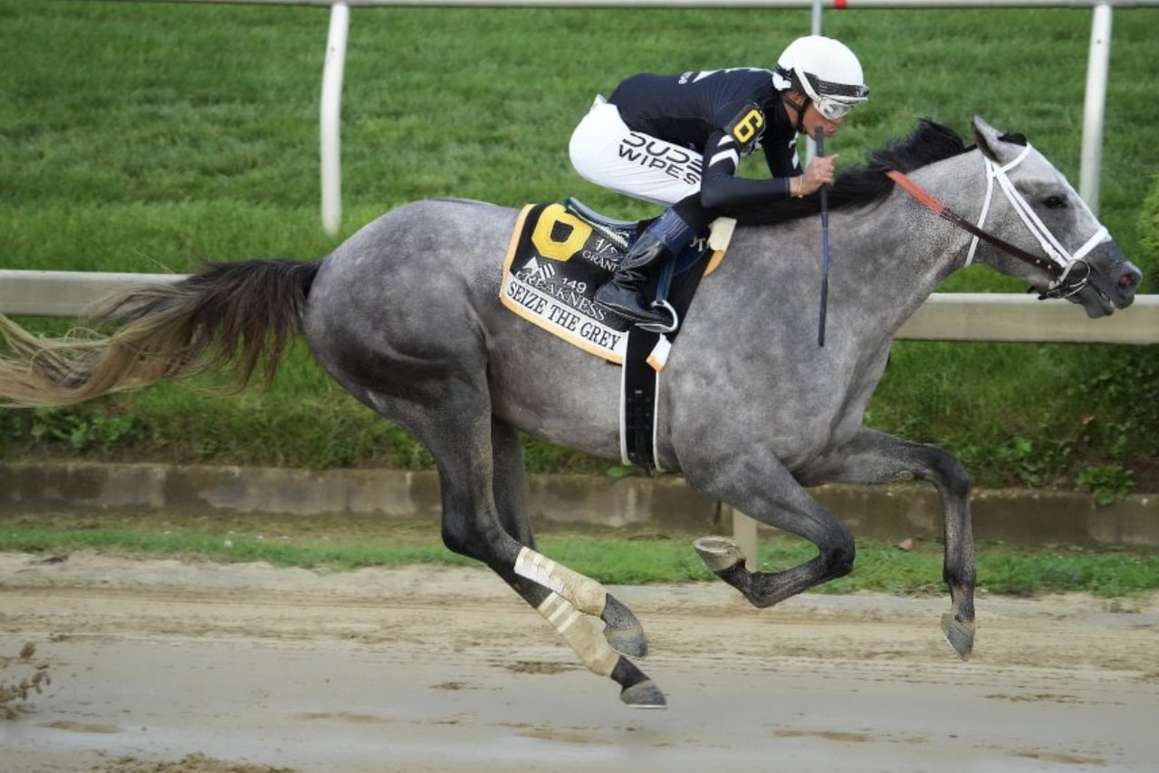 Thirteen 3-year-old fillies break from the gate during the Miss Preakness Stakes at Pimlico Race Course, kicking off the sprint in front of a lively crowd.