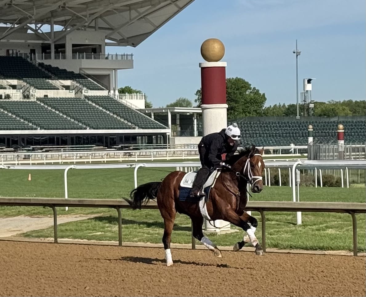 Horses training on the track at Pimlico Race Course ahead of the 150th Preakness Stakes with jockeys in vibrant silks under a clear sky.