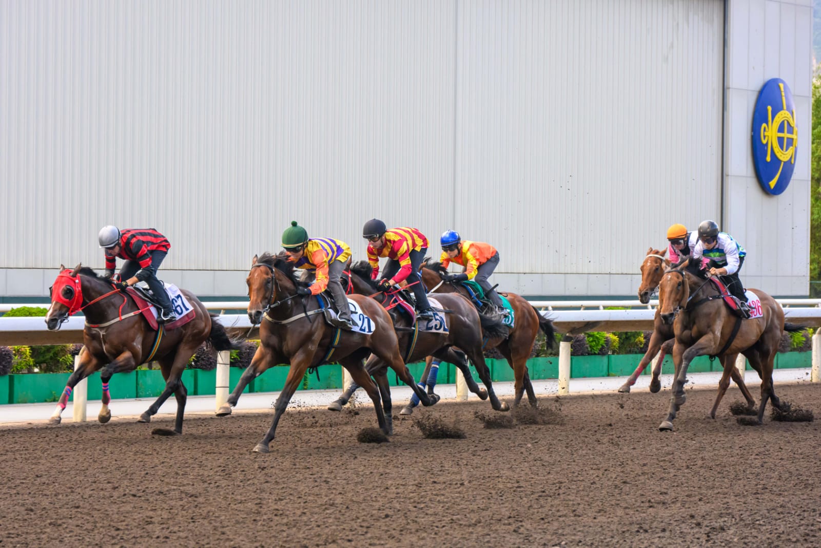 Andrea Atzeni riding Bundle Award during training at Sha Tin Racecourse ahead of the Standard Chartered Champions & Chater Cup.