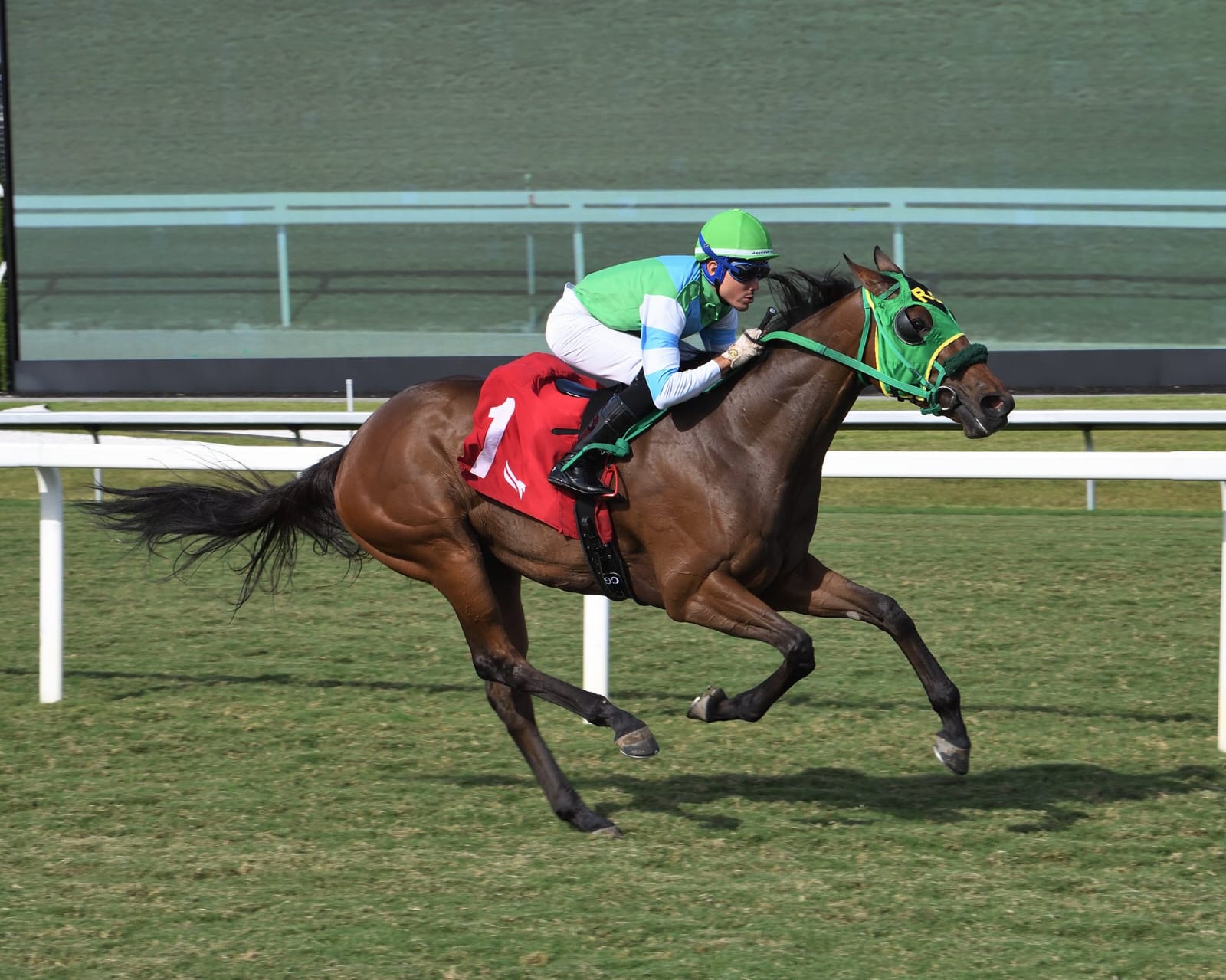 Aerial view of Gulfstream Park racetrack during a sunny race day with spectators and horses in action.