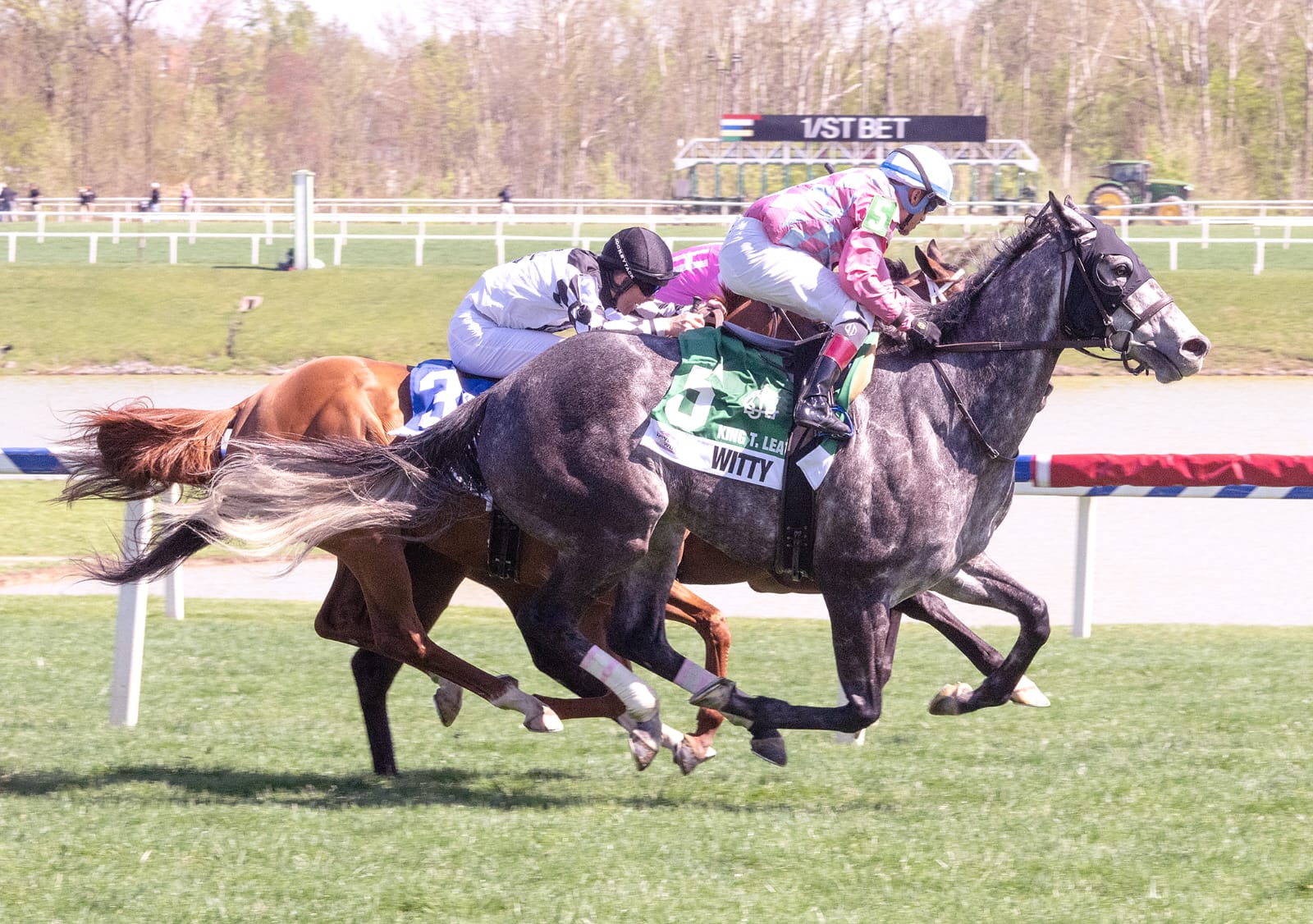 Trainer Elizabeth Merryman with turf sprinter Witty preparing for the 2025 Jim McKay Turf Sprint at Pimlico Race Course.