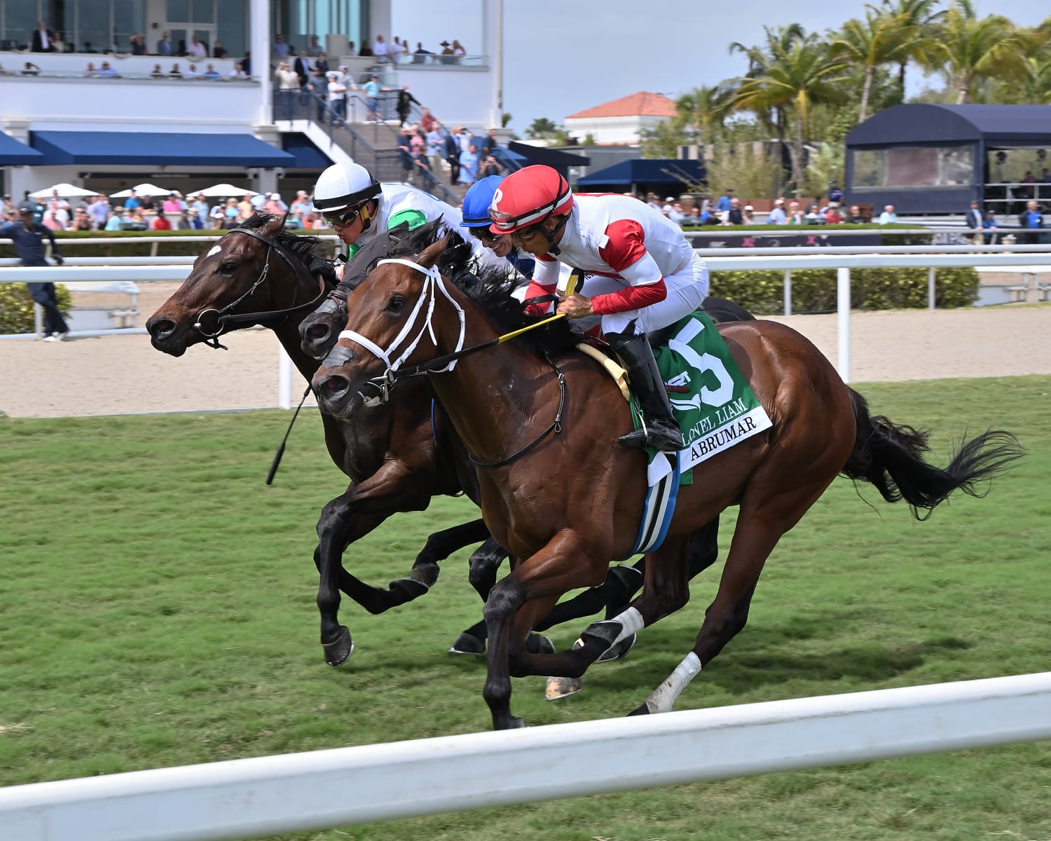 Saffie Joseph Jr. looks on as Cash Equity and Abrumar train on Gulfstream Park’s turf course ahead of the 2025 Mr. Steele Stakes