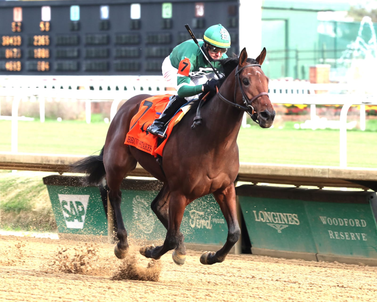 Keep It Easy galloping during morning training ahead of the 2025 Chick Lang Stakes at Pimlico Race Course