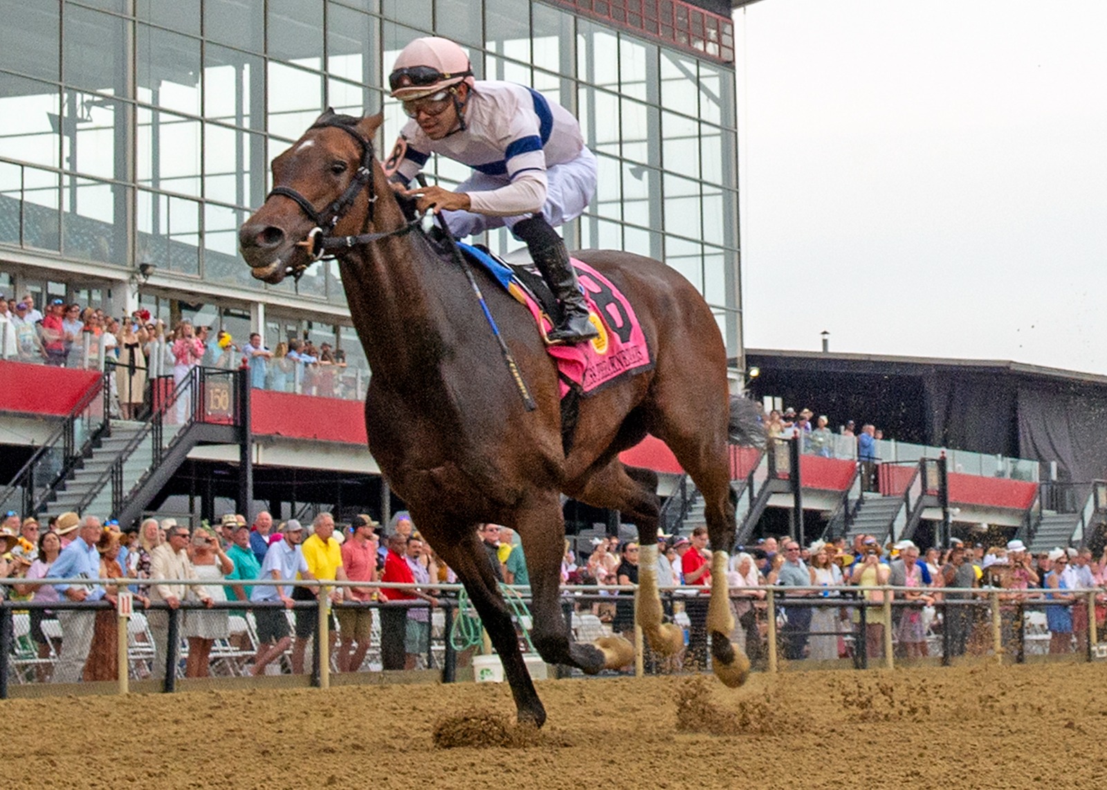 Echo Sound, ridden by jockey Luis Saez, crosses the finish line first at Pimlico Race Course during the 2025 Miss Preakness Stakes.