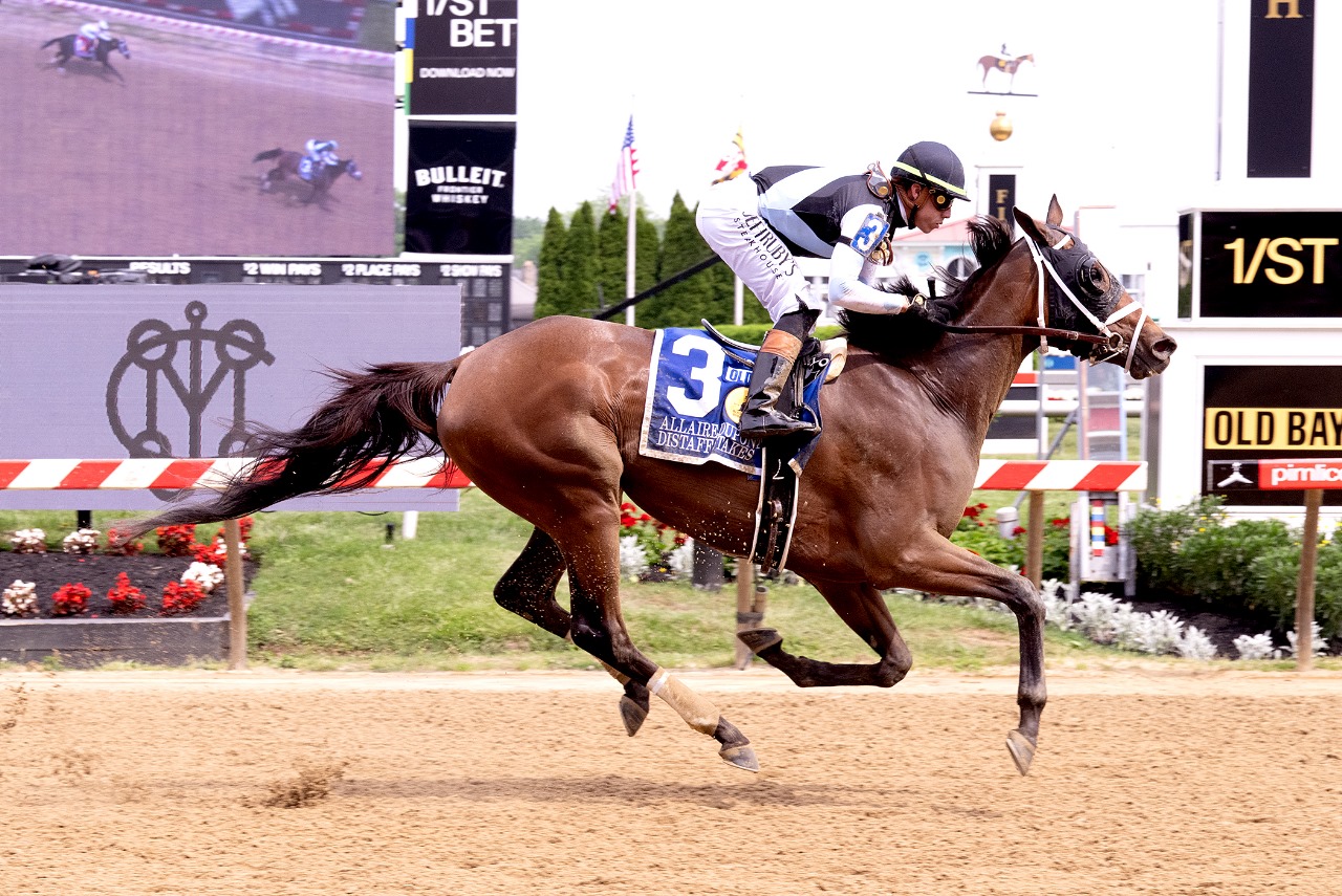 Candied pulls away in the stretch to win the 2025 Allaire du Pont Distaff Stakes at Pimlico Race Course under Irad Ortiz Jr.