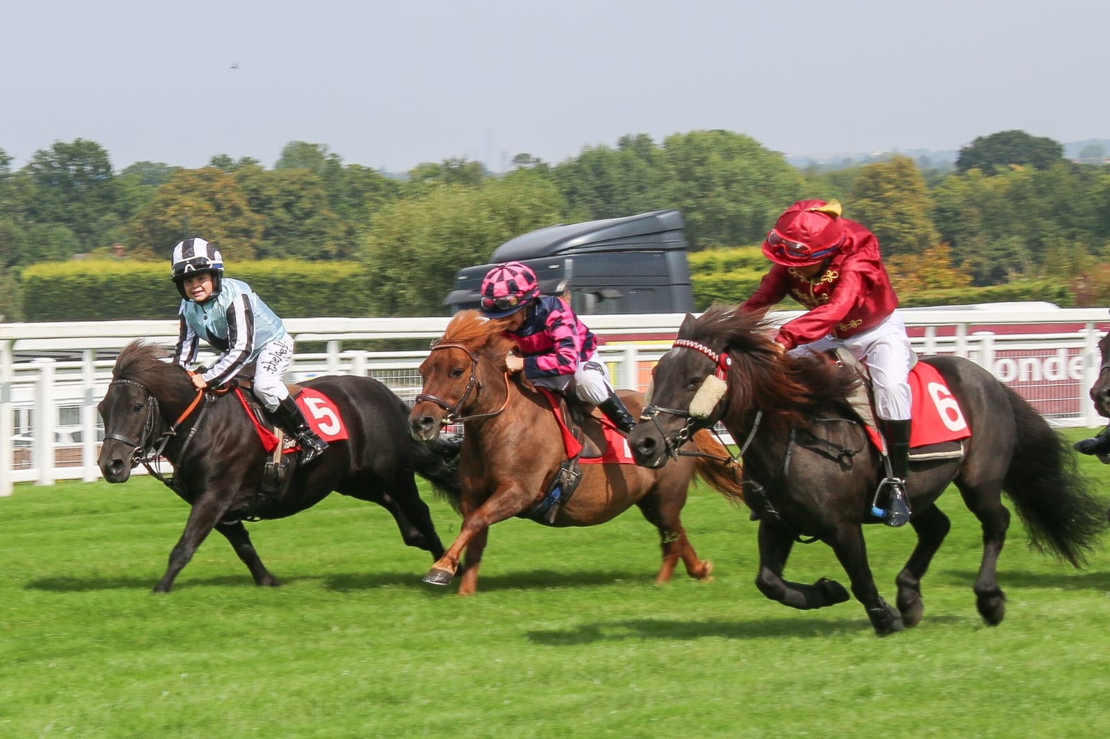 Jockeys competing in a steeplechase race at Huntingdon Racecourse during the RSA Syndicate Meeting