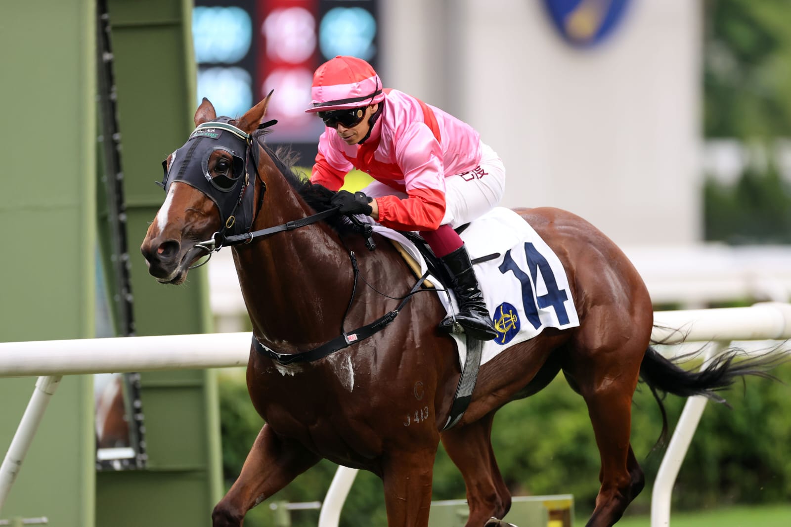 David Hayes celebrates a treble at Sha Tin with winning horses Oriental Smoke, Solid Shalaa, and World Hero