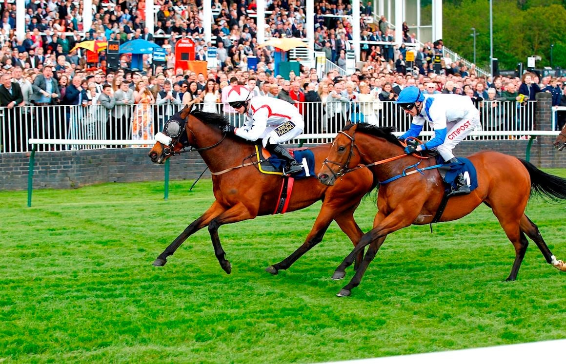 Field of thoroughbred horses breaking from the starting gates on a sunny afternoon at Nottingham Racecourse, May 2025
