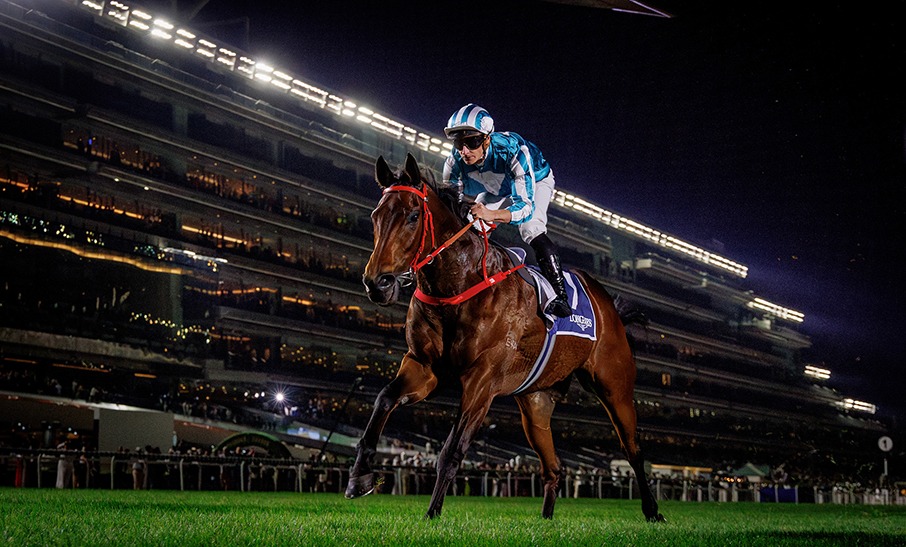 Horses breaking from the gate at Happy Valley Racecourse under the floodlights on a vibrant race night.