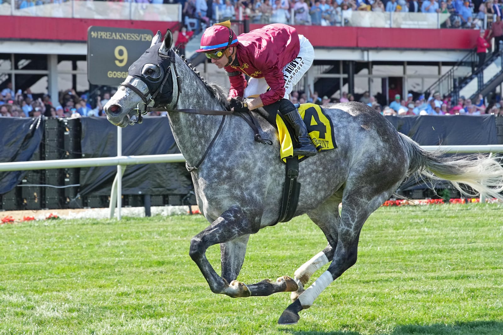 Witty surging past rivals in the stretch to win the 2025 Jim McKay Turf Sprint at Pimlico on Preakness Day.
