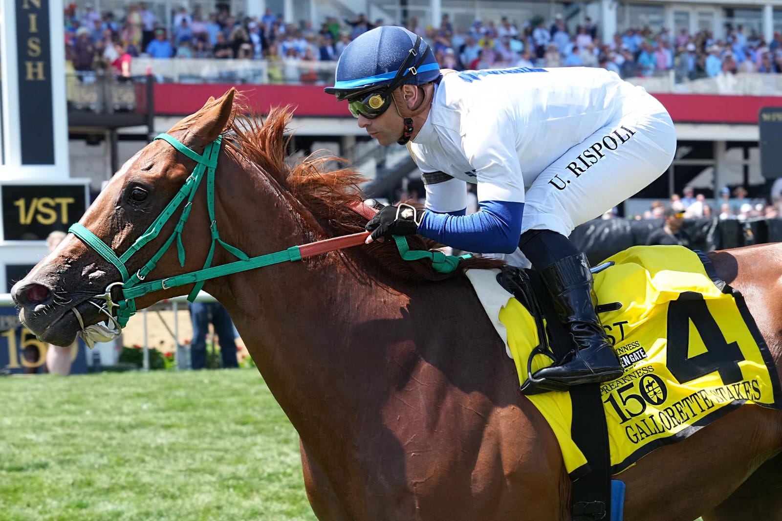 Umberto Rispoli celebrates aboard Charlene’s Dream after their surprise victory in the Gallorette Stakes at Pimlico on Preakness Day 2025.