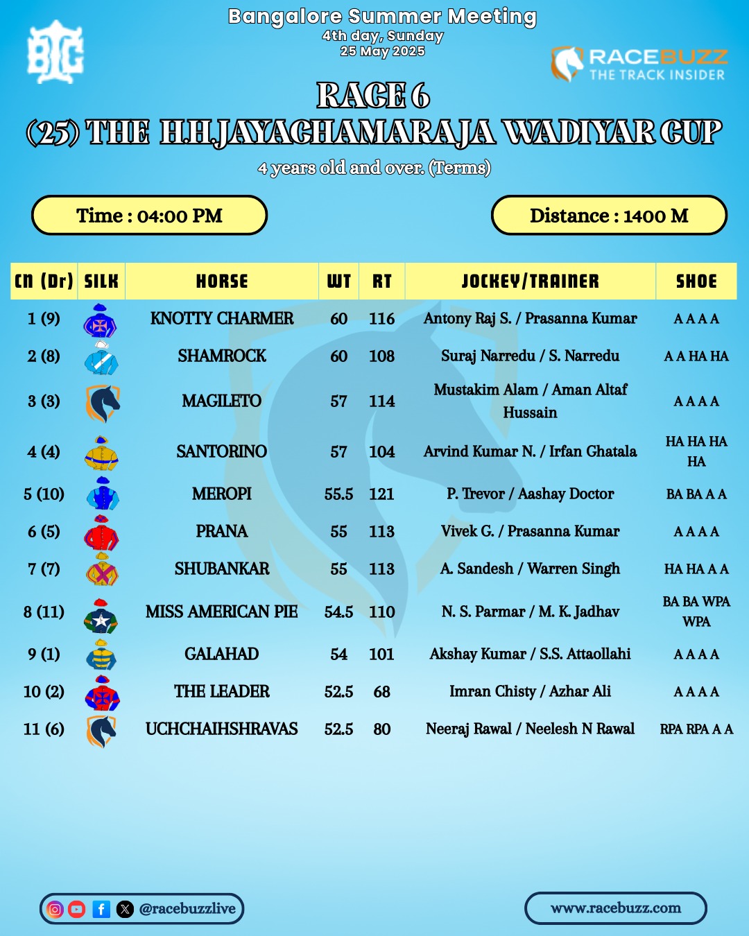 Racehorses in action at Bangalore Turf Club during the 2025 Summer Meeting