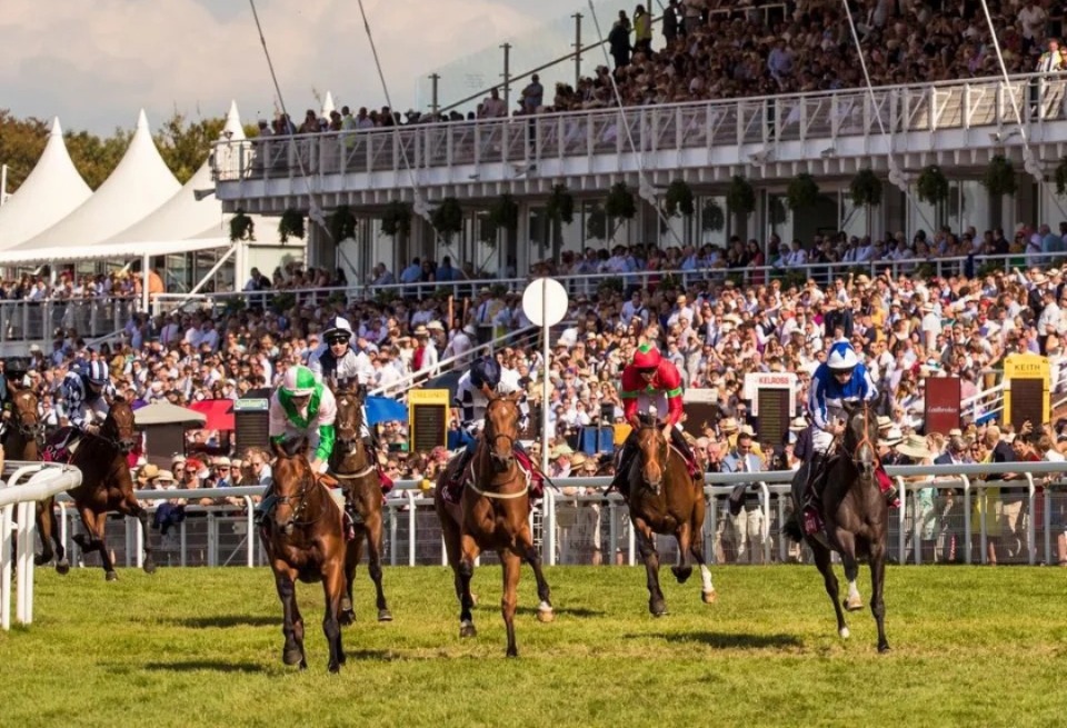 Racegoers enjoying the sunshine and racing action during the Goodwood May Festival at Goodwood Racecourse in 2025
