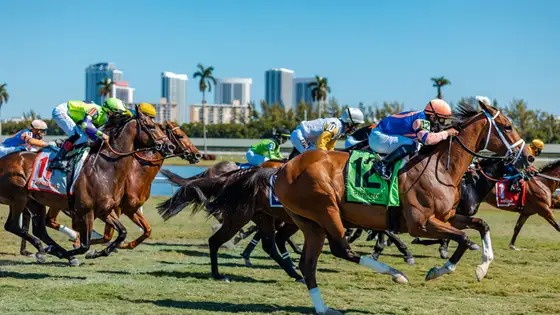 Horses break from the starting gate on the turf at Gulfstream Park during a sunny race day on May 23, 2025.