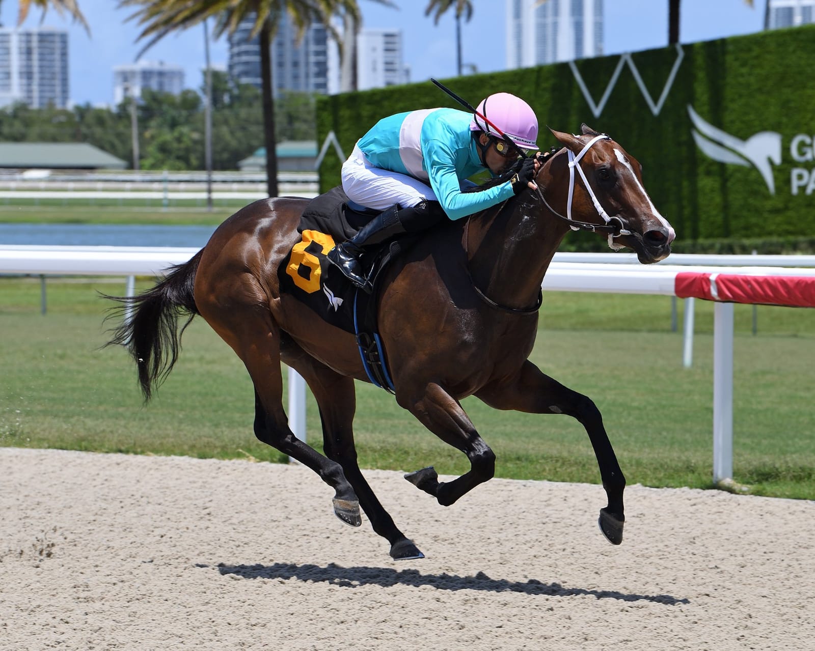 Horses break from the starting gate at Gulfstream Park during a vibrant spring race day.