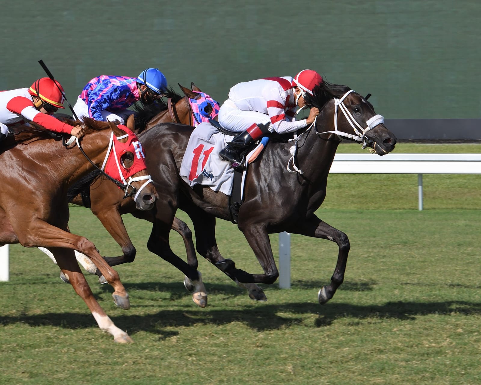 Jockey Christopher Elliott guides Solomons Gold to victory at Gulfstream Park during a Thursday afternoon race.