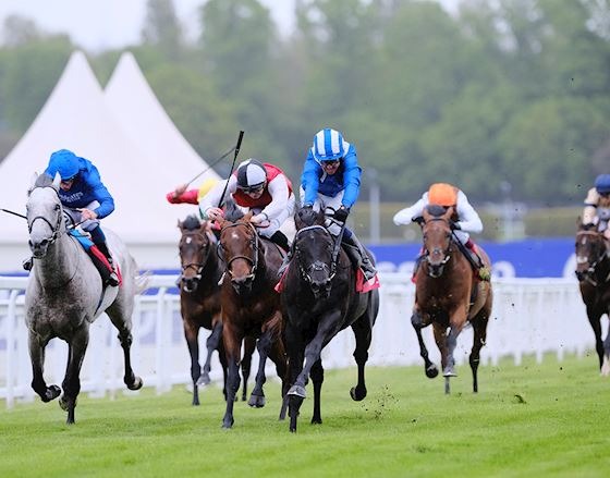 Racehorses in full stride on a lush green turf at Sandown Park, with jockeys urging them forward during a Group race