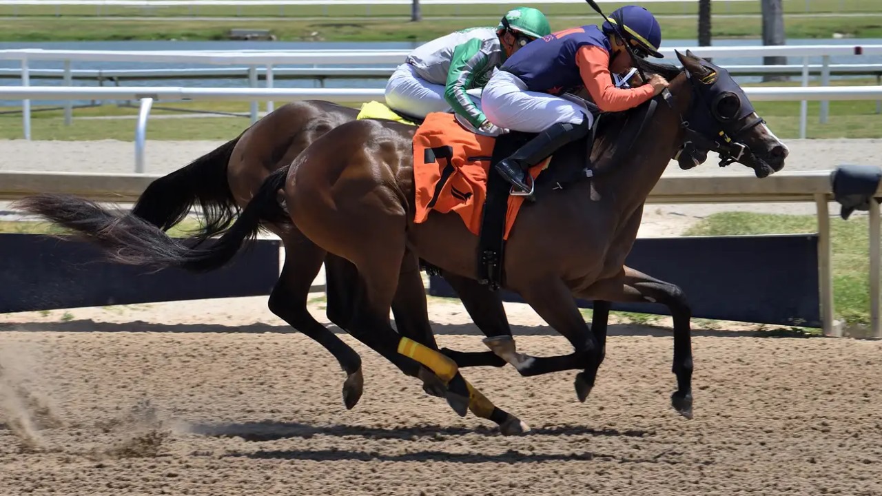 Willow Case in full stride under jockey Edgar Perez during her upset victory in the 2025 juvenile opener at Gulfstream Park