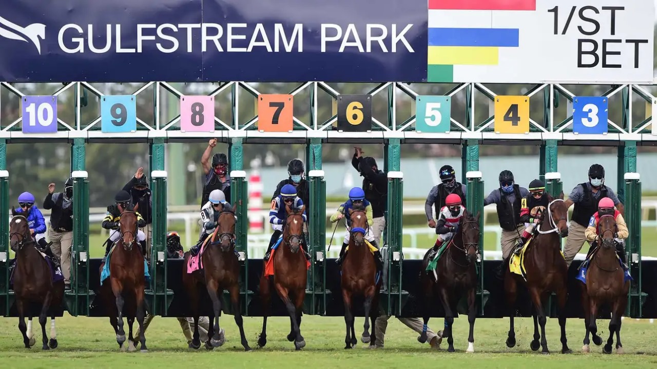 File photo of live turf racing at Gulfstream Park, the 2025 host of Royal Palm Juvenile and Fillies stakes offering Royal Ascot qualification