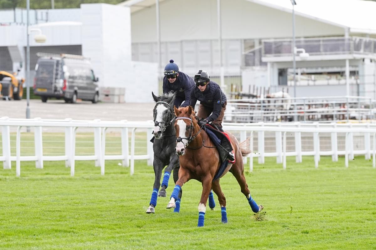 Thady Gosden’s Derby contenders Damysus and Nightwalker galloping smoothly at Epsom Downs under clear skies during a key prep session ahead of the 2025 Derby.