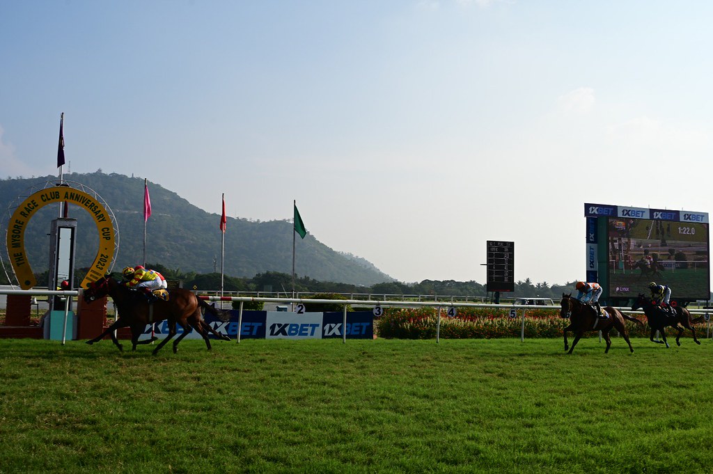 Racehorses in action at Mysore Race Club with green turf and crowd-filled stands during the summer season.